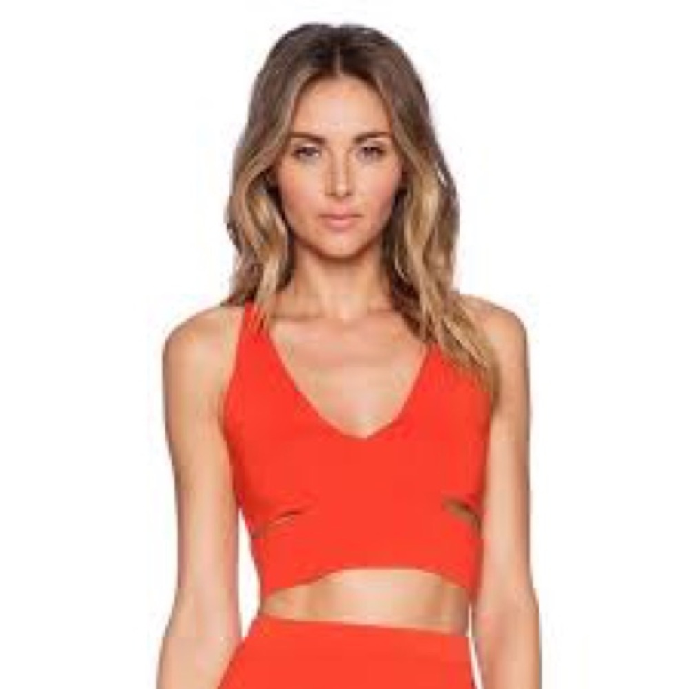 Ronny Kobo Padma Crop Bandage Top